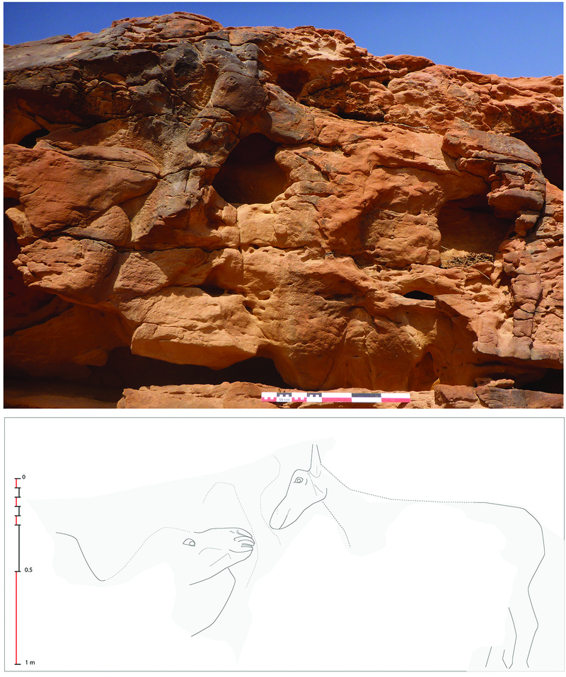 Animal scene number 2. (Image: G. Charloux et al., 2018)